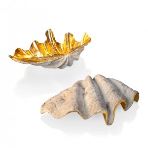 CONCHIGLIA TRIDACNE RESIN