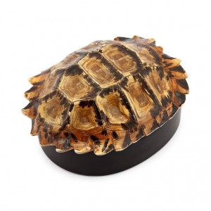 TURTLE BOX DECO