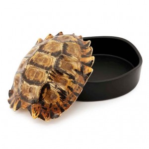 TURTLE BOX DECO