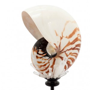 GLASS BOX DECORATION LG