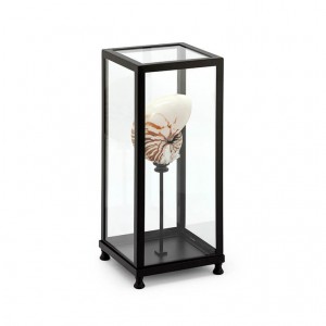 GLASS BOX DECORATION LG