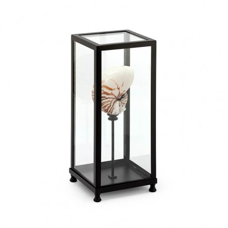 GLASS BOX DECORATION LG