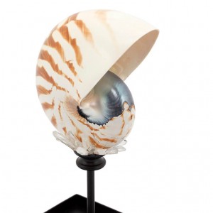 GLASS BOX DECORATION SM