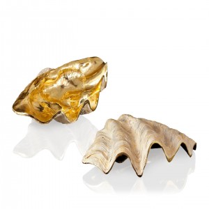 CONCHIGLIA TRIDACNE RESI