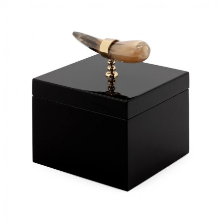 BOX HORN DECO