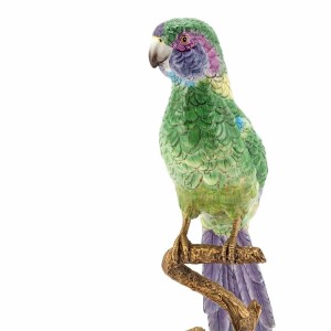 PARROT ATLANTIDE SINGLE BRANCH