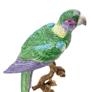PARROT ATLANTIDE