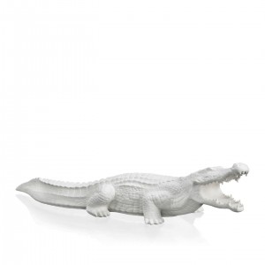 CROCODILE BISC.