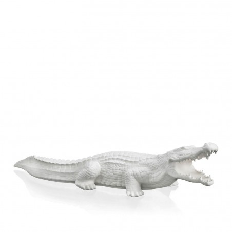 CROCODILE BISC.