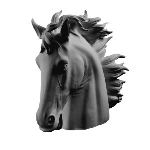 HORSE HEAD