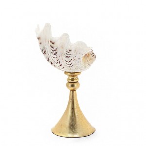 STAND KRIZIA TRIDACNE