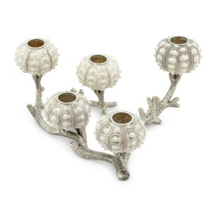 CANDLEH. SEAURCHIN X5