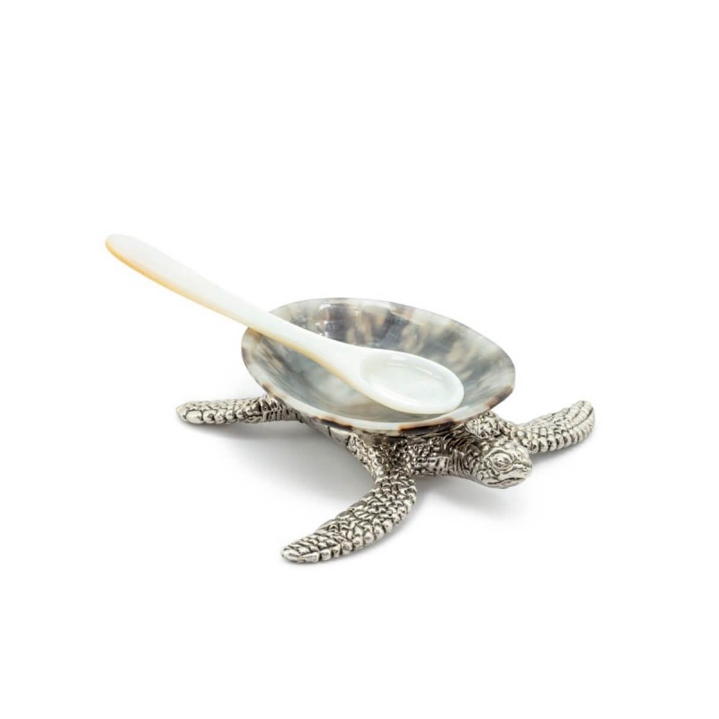 PLATE SHELL ON TURTLE