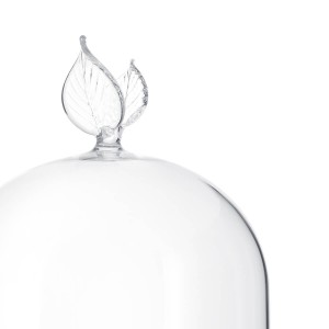 CAKE HOLDER DOMY SM H55