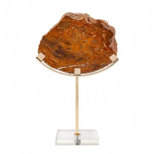 FOSSIL ON STAND H40 25X13