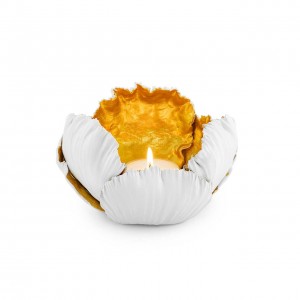 CANDLEH. KAIL H10 D17