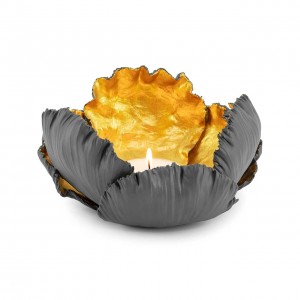 CANDLEH. KAIL BG H12 D21