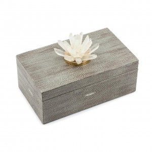 BOX KRIZIA STING BIG