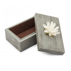 BOX KRIZIA STING BIG