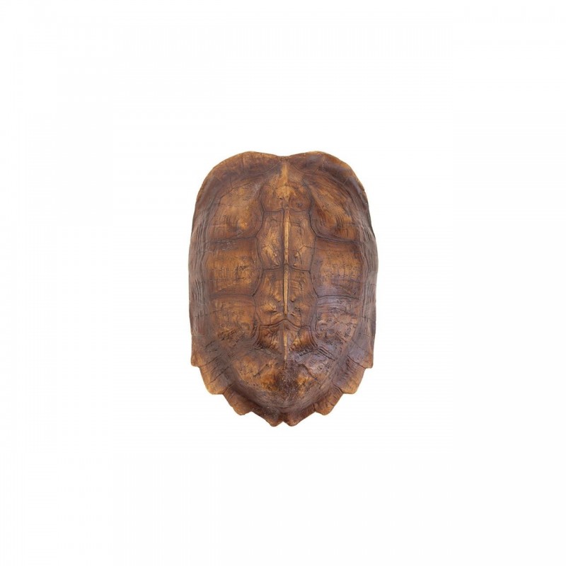 TURTLE SHELL