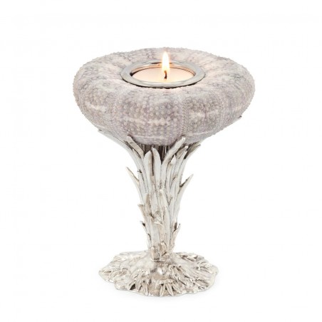 CANDLEH SEA URCHIN