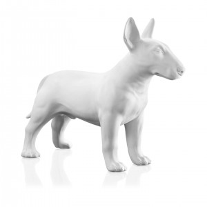 BULL TERRIER BISC.